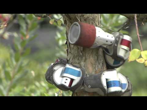 Snake Robot Climbs a Tree