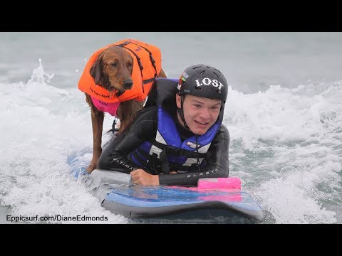 First ever surf therapy dog inspires world! Kleenex alert