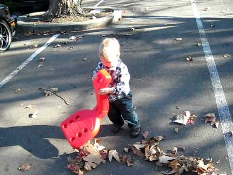 Tyler Raking Leaves