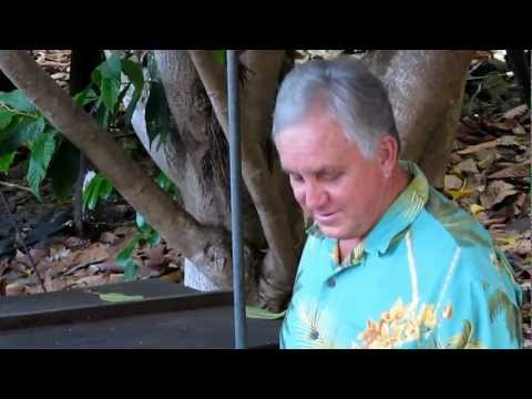 The Original Hawaiian Chocolate Factory Tour Part Two