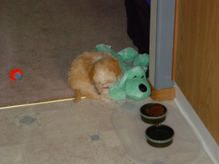 Wilbur’s first pictures (five years ago)