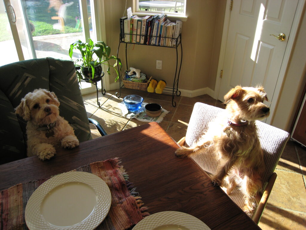 Penelope and Wilbur: Ready for Dinner…
