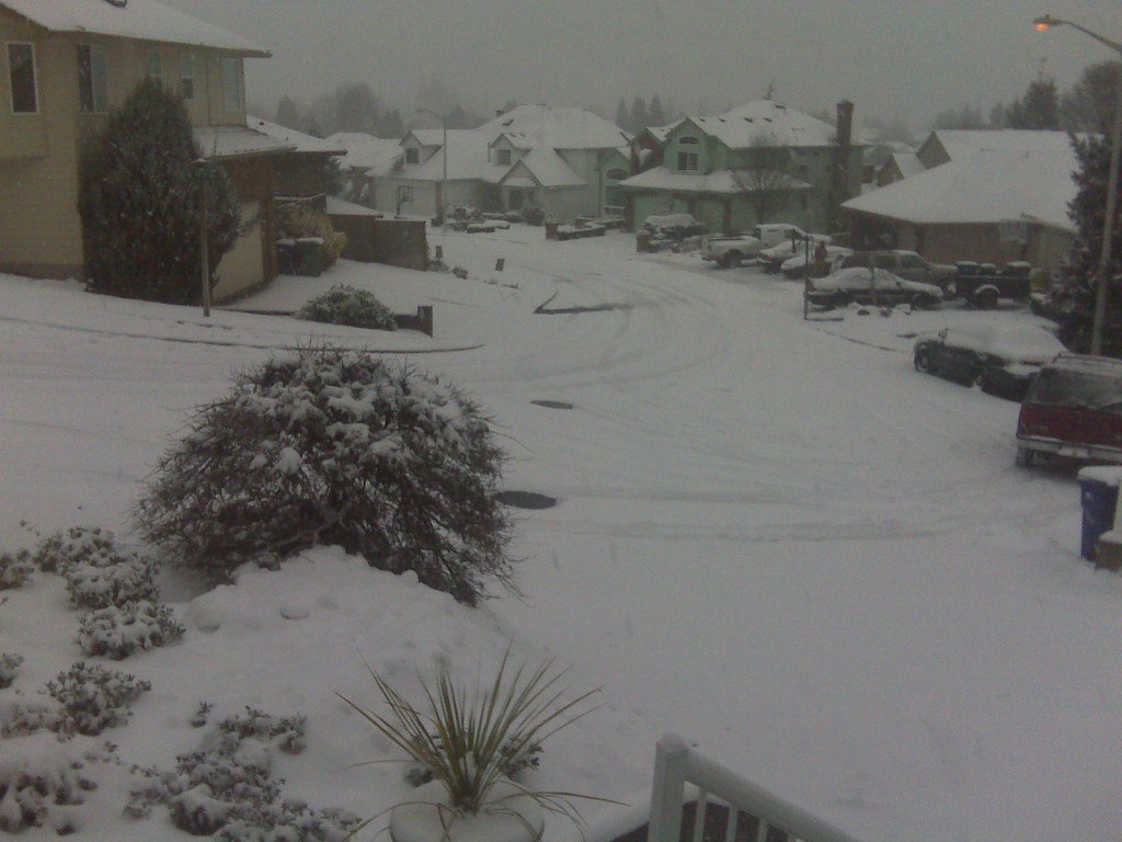 I’m dreaming of a white Christmas