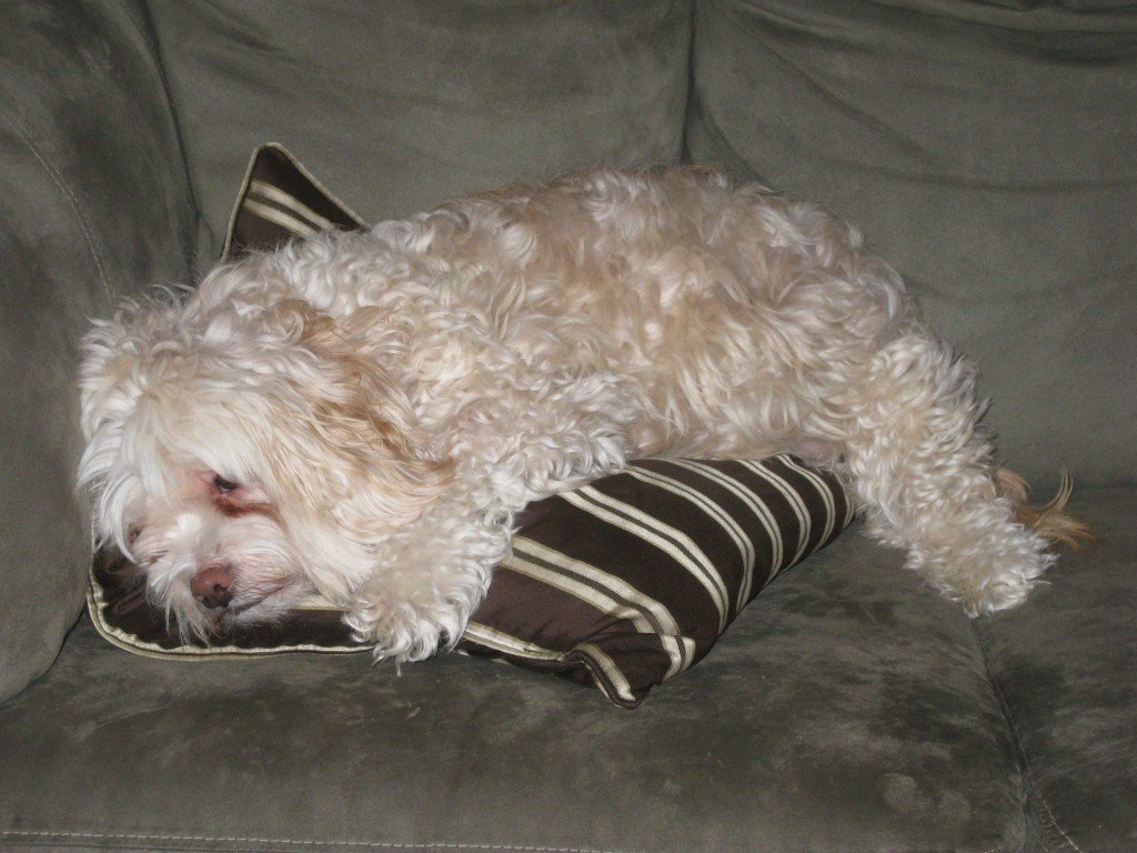 Wilbur - now. :)
