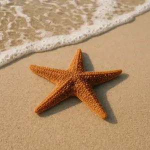 Starfish