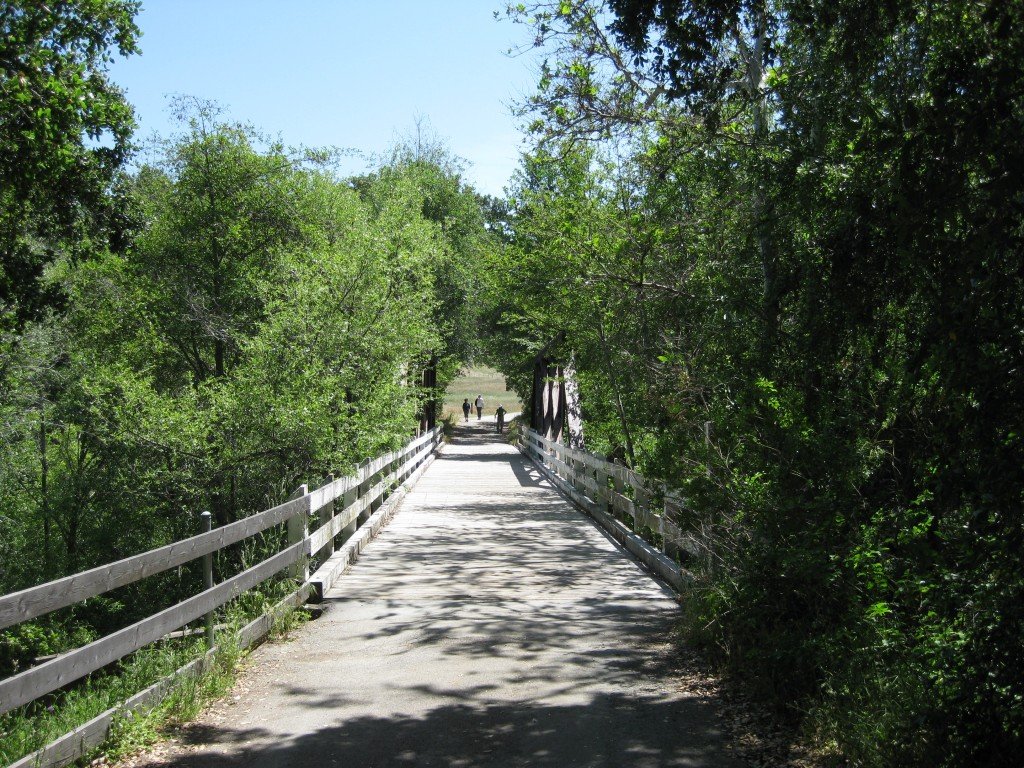 Hiking pictures from today