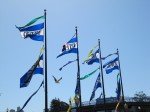 Pier 39 Flags