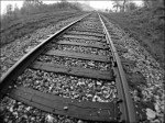 The Tracks Of History