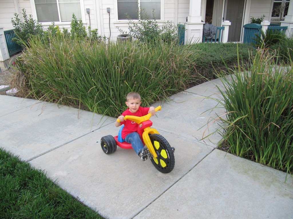 Big Wheel Tyler