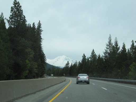 Portland Trip