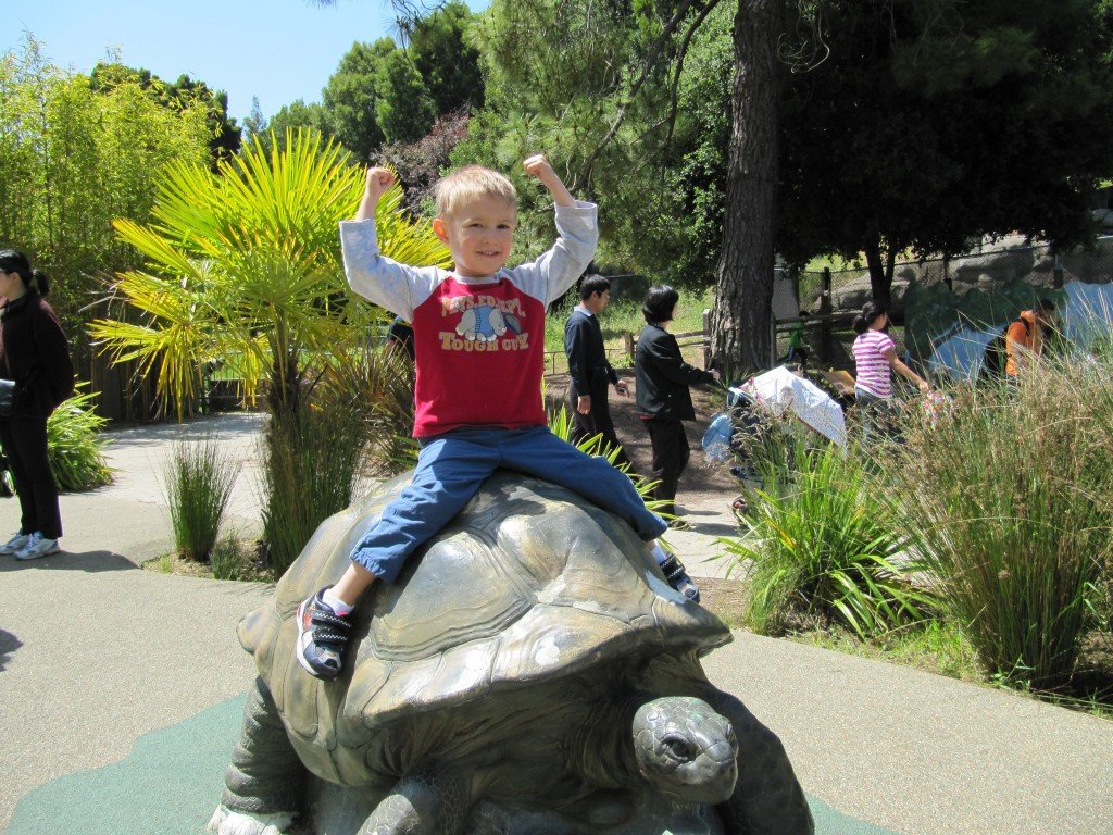 Oakland Zoo round two