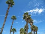 Santa Barbara