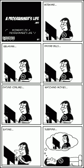 A Programmer’s Life