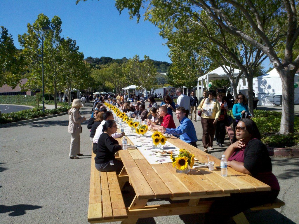 World's Longest Picnic Table