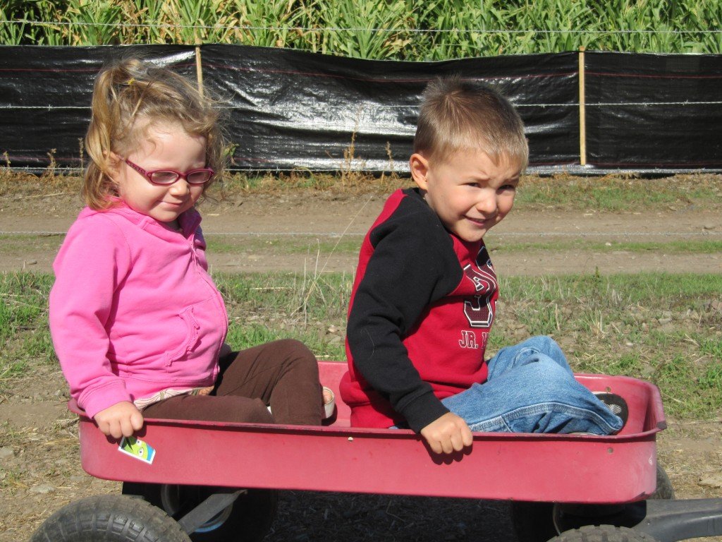 Joan’s pumpkin patch