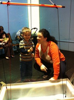 SJ Children’s Discovery Museum