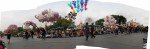 Disneyland Panoramas