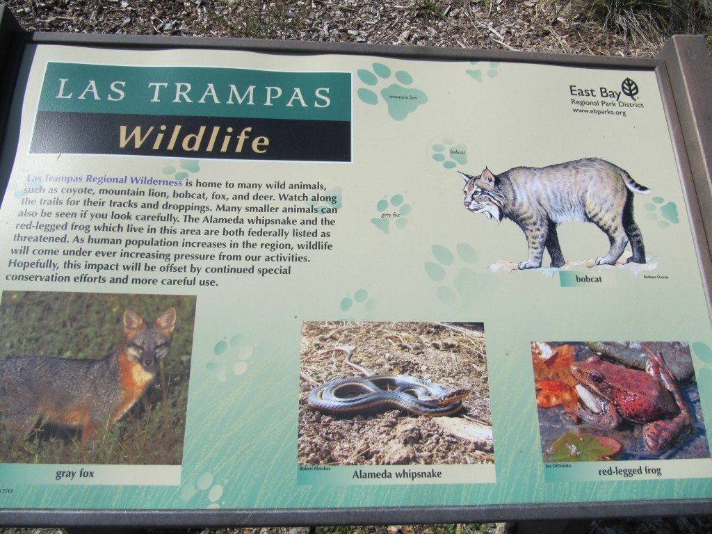 Las Trampas hike