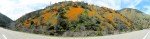 Yosemite Panoramas