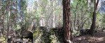 Yosemite Panoramas