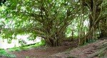 Big Island Panoramas