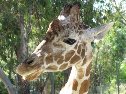 Six Flags Discovery Kingdom