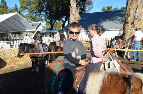 Pumpkin Patch 2012