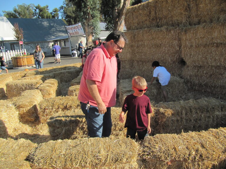 Pumpkin patch 2013