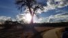 Bear Creek Trail